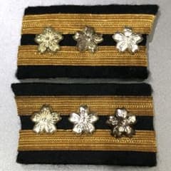 送料無料】 東ドイツ軍 東独 国家人民軍 NVA 将校 礼装 パレード 飾緒