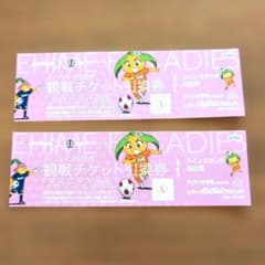 愛媛FCレディース観戦チケット引換券2枚セット