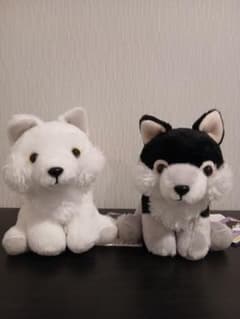 もふっとオオカミ ミステリアス　ぬいぐるみ 5体セット もふっとオオカミ ミステリアス ぬいぐるみ 5体セット - メルカリ