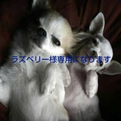 エルメス星を巡る旅展で販売されたリュックになりますのサムネイル