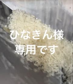 リピート割引 令和7年愛知県産 あいちのかおり【精米10kg】全国送込み 米のサムネイル