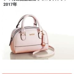 スナイデルミニボストン(付録)のサムネイル