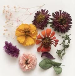 ドライフラワー 花材 詰め合わせ ハンドメイド素材のサムネイル