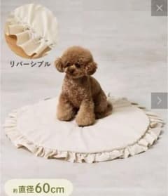 スリーコインズ　撮影用ペットマットのサムネイル
