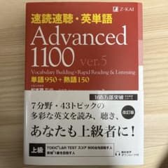 advanced1100 ver5のサムネイル