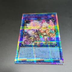 m41302734352_1.jpg?1784357691