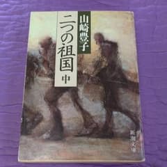 二つの祖国 中巻のサムネイル