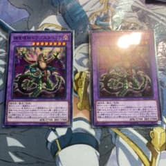 遊戯王 捕食植物ドラゴスタペリア 2枚のサムネイル