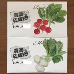 農協応援団 ラディッシュ 小かぶ 種のサムネイル