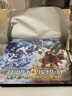 ポケモンカード　ジムセット　スノーハザード　クレイバースト　ナンジャモのサムネイル
