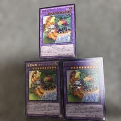 聖霊獣騎 ガキアペライオ3枚セット