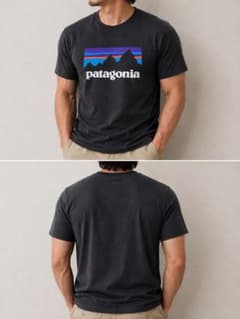 Patagonia Responsibili-tee Tシャツ ブラックのサムネイル