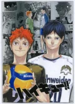ハイキュー!! アクリルミラーパネル 日向翔陽 影山飛雄 ハイキュー!! 日向翔陽＆影山飛雄 大判アクリルミラーパネル(壁掛け