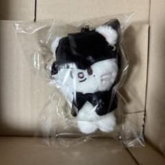 5 ヒョンジン DOIT POPUP Straykids スキズ 10センチぬい - メルカリ