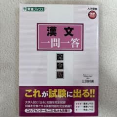 漢文一問一答 : 完全版のサムネイル