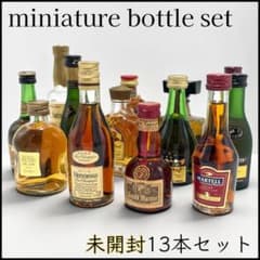 未開封】ミニチュアボトル 13本セット ウイスキー ブランデー - メルカリ