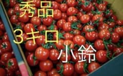 ミニトマト　小鈴キングのサムネイル