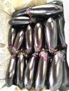朝どり新鮮 茄子 4kgのサムネイル
