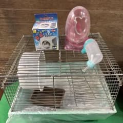 m41319835342_1.jpg?1741681304