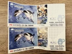 新江ノ島水族館 入館券 2枚 招待券のサムネイル