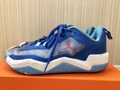NIKE ジョーダン　ワンテイク　4 PF 26cmのサムネイル