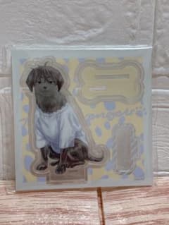 どうぶつフォーゼ 東リべ 佐野真一郎 アクスタのサムネイル