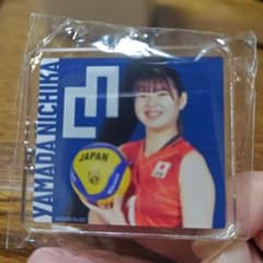 山田二千華キーホルダー　 バレーボール 記念品のサムネイル