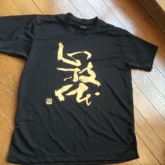 太極拳Tシャツのサムネイル