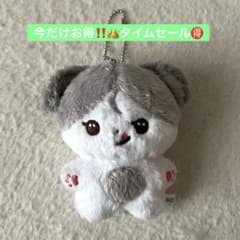 &team K ケイ 10cm ぬいぐるみ マスター 늑대켕 - メルカリ