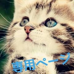 こいこい様専用ページのサムネイル
