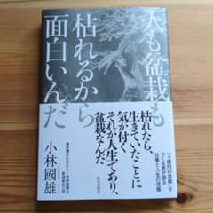 人も盆栽も枯れるから面白いんだのサムネイル