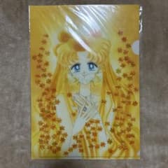 Pretty Guardian Sailor Moon Clear File Original Artwork