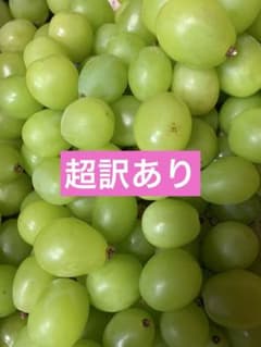 島根県産シャインマスカット超訳あり（6）のサムネイル