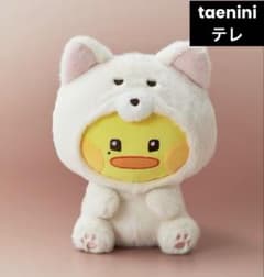 ZB1 ゼベワン テレtaenini テニニ zeroniミディアムぬいぐるみ - メルカリ