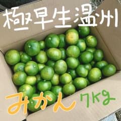 栽培期間中農薬不使用 箱込み7kg 極早生みかん 小玉 愛媛県産 家庭用のサムネイル