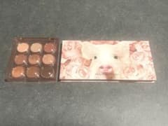 未使用品 パーフェクトダイアリー 豚/アミューズアイズ ニュートラルココアのサムネイル