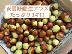 ⁠【安曇野産】採れたて生ナツメ 1kg　農薬不使用⁠のサムネイル