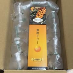 豊潤サジー 300ml 1本のサムネイル