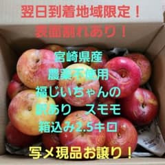 ❌翌日到着地域限定！宮崎県産　福じいちゃんの訳あり　スモモ　箱込み2.5キロのサムネイル