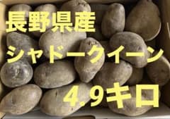 長野県産 シャドークイーン 4.9キロ - メルカリ