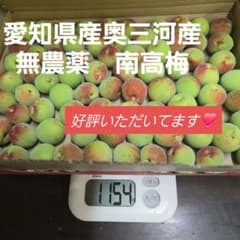 収穫したて 青梅 1157g(箱込み)のサムネイル