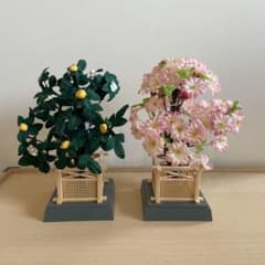 ひな祭り 桜橘 飾りのサムネイル