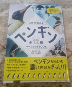 ここ様 リクエスト 2点 まとめ商品のサムネイル