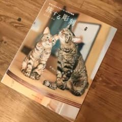 ✤旅する彫刻 彫刻とそのモデルになった子の物語✤はしもとみおのサムネイル