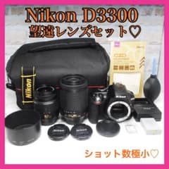 ✨️ショット数1731回✨️美品✨️Nikon D3300 ❤️ダブルレンズセット❤️ ✨️ショット数1731回✨️美品✨️Nikon D3300 ❤️ダブルレンズセット