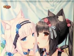 ネコぱら ショコラ＆バニラ Ｂ２タペストリー 下着verのサムネイル