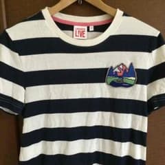 LACOSTE Tシャツ 正規店 購入 本物です。のサムネイル