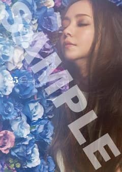 安室奈美恵 Finally HMV限定 ポスターのサムネイル
