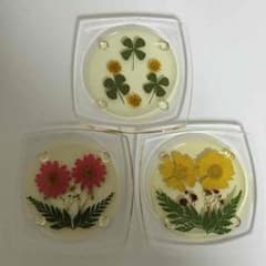 コースター 押し花のサムネイル
