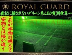格が違う ロイヤルガードオメガ LEDフォグライムグリーン H8 H11 H16